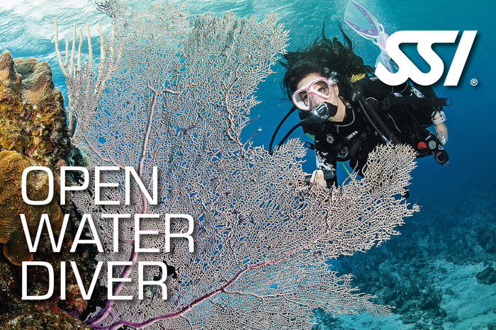 Open Water Diver