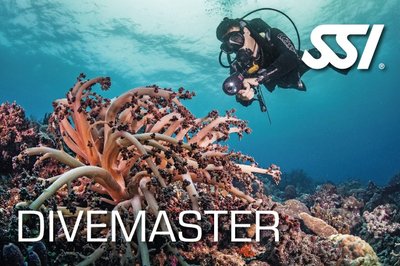 Divemaster