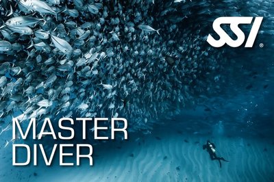 Master Diver Bundle