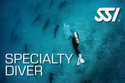 Specialty Diver Bundle