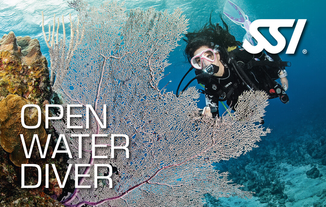 Open Water Diver