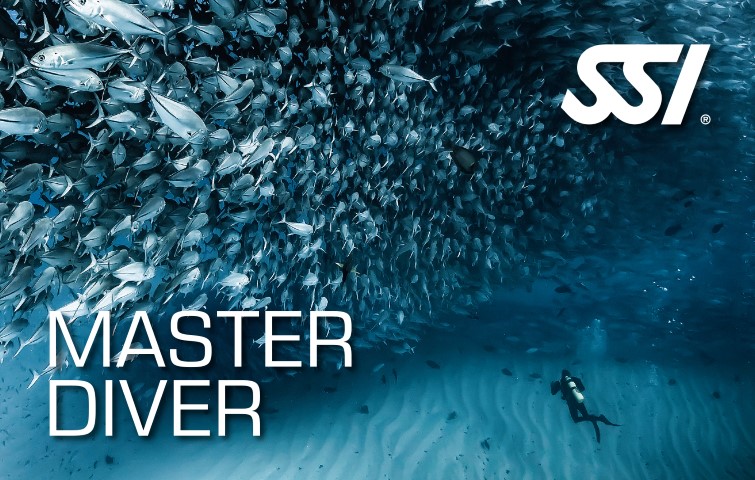 Master Diver Bundle