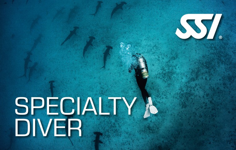 Specialty Diver Bundle